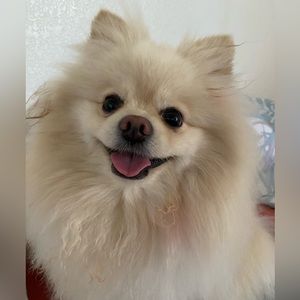 Meet your Posher, Sonia